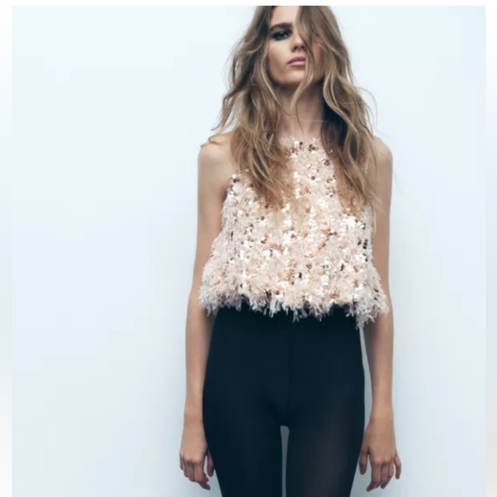 Zara Frayed Sequin Feather Top